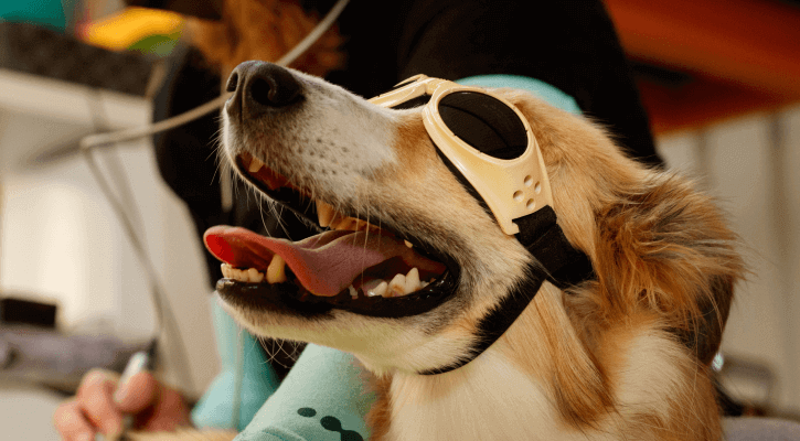 Laser Therapy