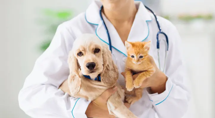 Puppy & Kitten Wellness and Vaccinations